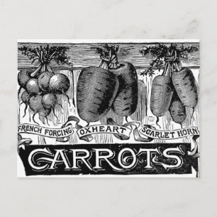 4 Vintage Karotten anzeigen Postkarte