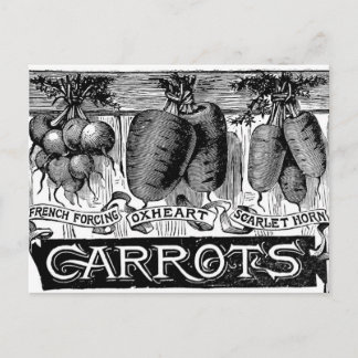 4 Vintage Karotten anzeigen Postkarte