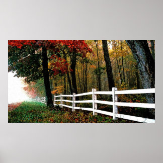 4b Öldetailliert Poster