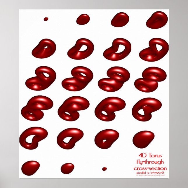 4d-Torus-Fliegenquerschnitt Poster (Vorne)