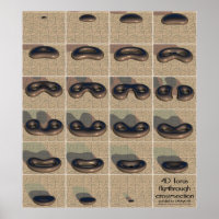 4D-Torus-Kreuzung