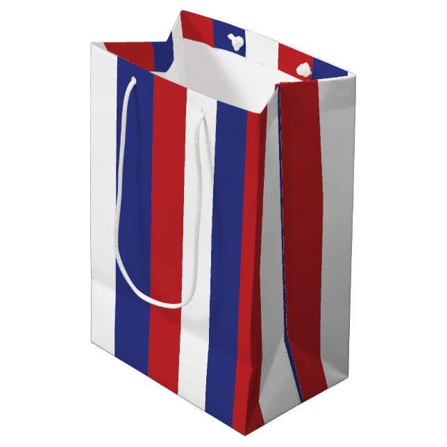 4Th Of July Celebration  Mittlere Geschenktüte (Vorderseite Schrägansicht)