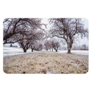 4x6 Flachbildschirm Magnet