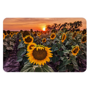 4x6 Flachbildschirm Magnet