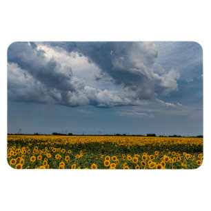 4x6 Flachbildschirm Magnet