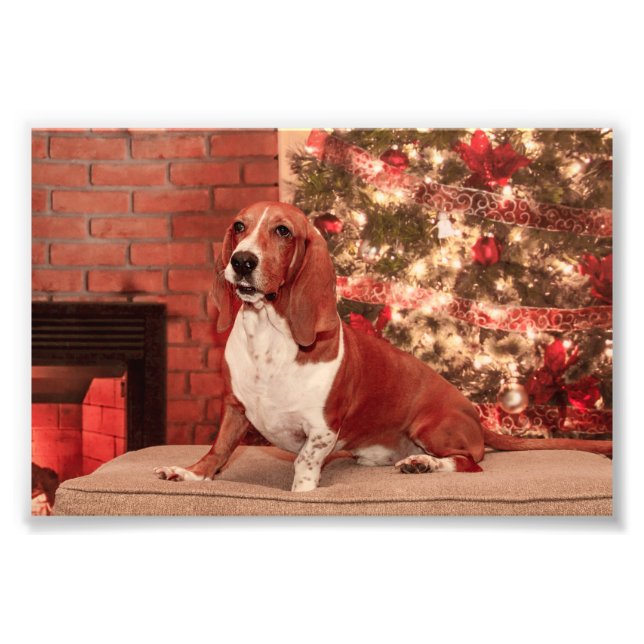 4x6 Weihnachtsferien Fotodruck (Vorne)