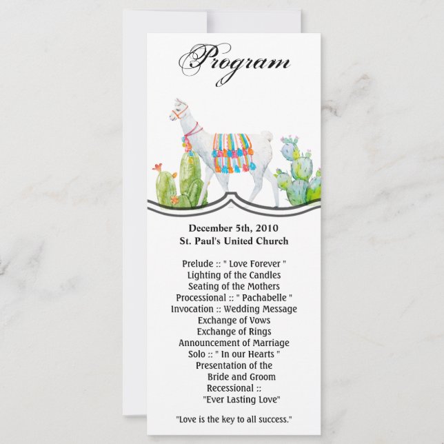 4x9.25 Programmkarten Boho Llama Bohemisch Cacti D Einladung (Vorderseite)