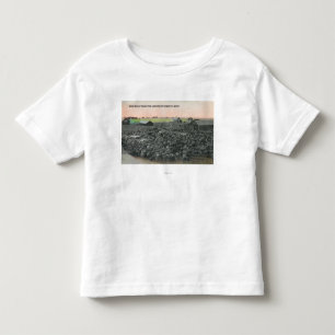 5000 Schafe bereit zu ShippingChester, M.Ü. Kleinkind T-shirt