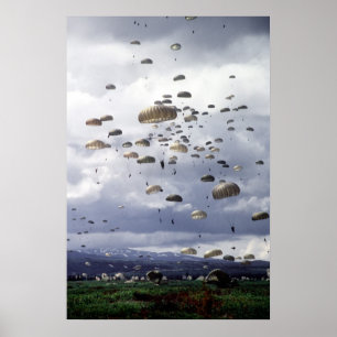 501. Para Infantry Poster