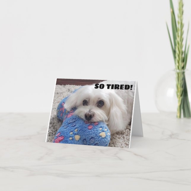 *50. BIRTHDAY* HA HA (FUNNY DOG SPASS) KARTE (Vorderseite)