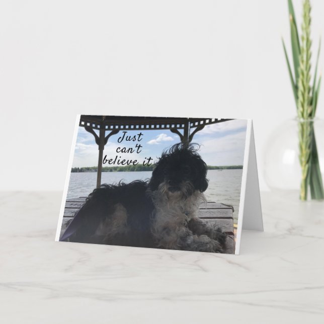 **50** COMMENT SE SENTENT-IL CARTE D'HUMOUR D'ANNI (Devant)