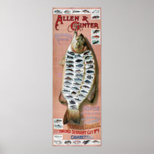 50 Fish from American Waters Vintage Poster