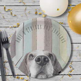 50. Geburtstag ein halbes Jahrhundert und vorzügli Pappteller