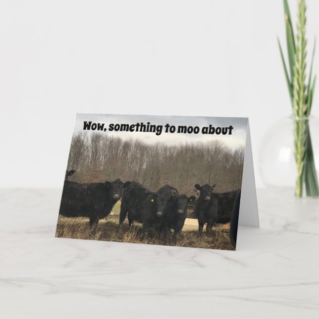 **50.** GEBURTSTAG IST ETWAS FÜR "MOO ÜBER" KARTE (Vorderseite)