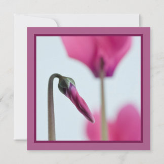 50. Geburtstag Rosa Blume Einladung