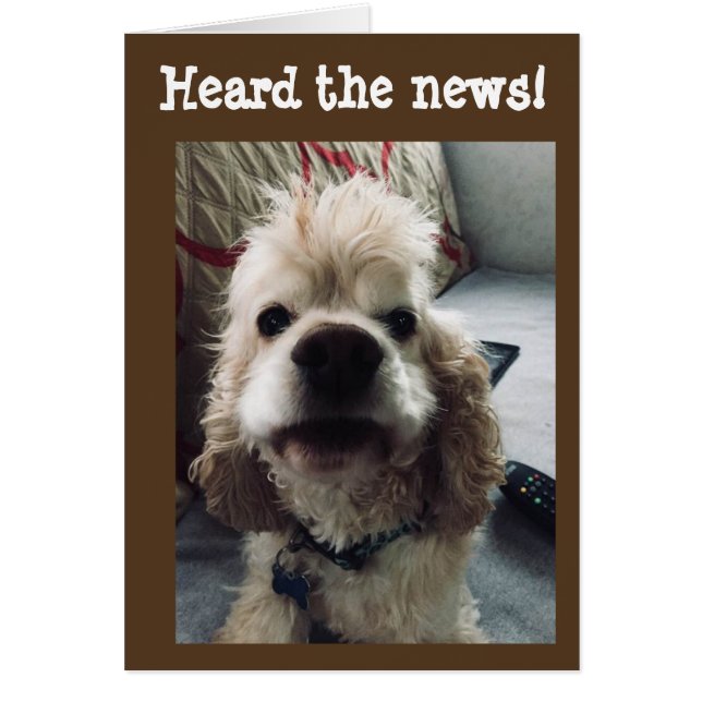 **50. GEBURTSTAG** SPASS VON PUP (Vorne)