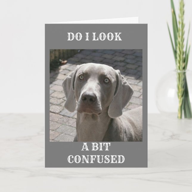 "50" WIE KANN ES GESAGT WERDEN WEIMARANER KARTE (Vorderseite)