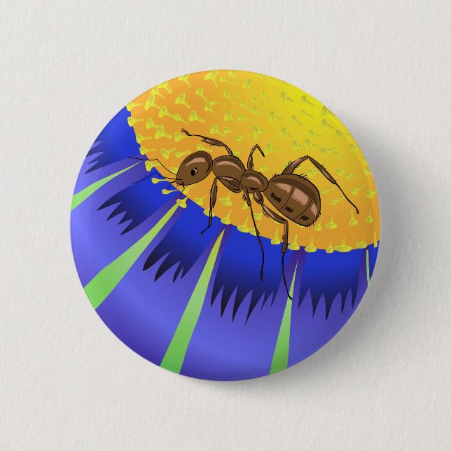 50ant button (Vorderseite)