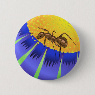 50ant button