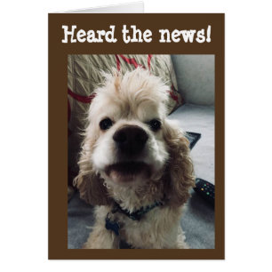 **50e ANNIVERSAIRE** HUMOUR DE PUP