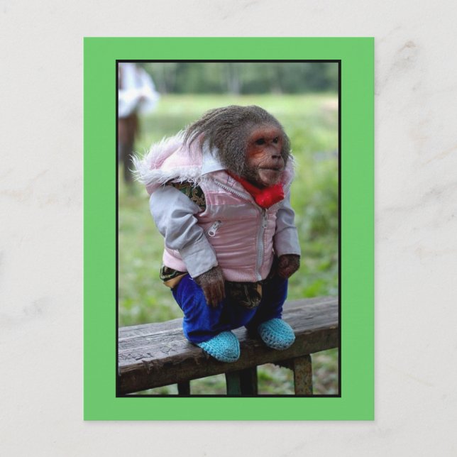 52170 POSTKARTE (Vorderseite)