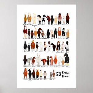 52 Pferderassen Diagramm Poster