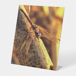 534424932Elegant Red Darter Dragonfly Insekt Art Sockelschild