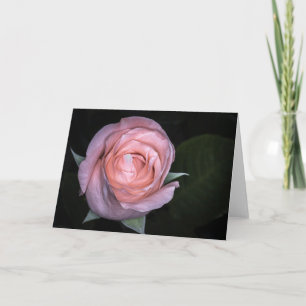 5434-Pfirsich-Rose Karte