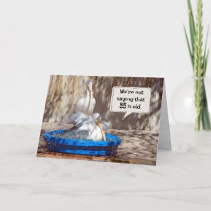 55. Geburtstag Pelikane Spaß Karte