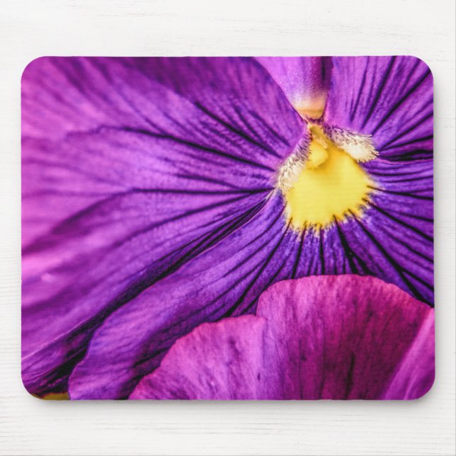 5884-Lila Pansy Mousepad (Vorne)
