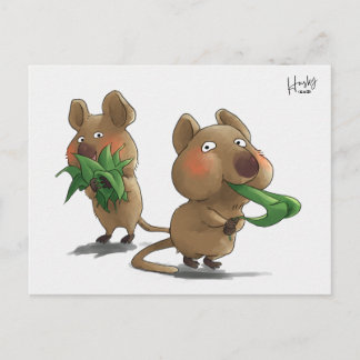 58: Quokkas Postkarte