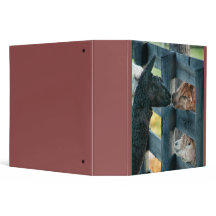 Classeur de Kissing Alpaca
