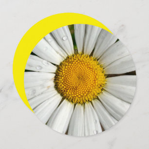 5.25 x 5.25 Einladungskreis Einladung