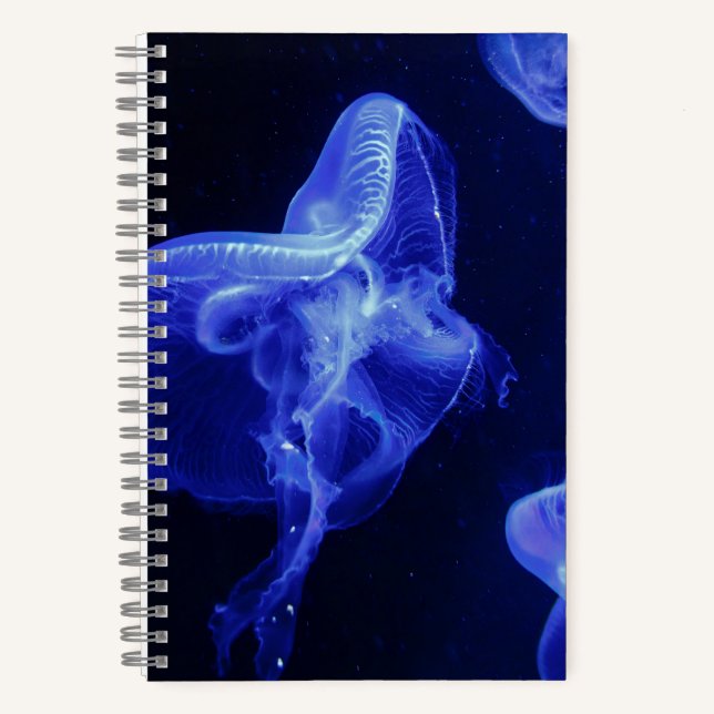 5,5" x 8,5" SpiralNoteboot Notizbuch (Vorderseite)