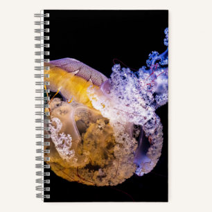 5,5" x 8,5" SpiralNoteboot Notizbuch