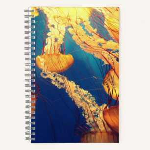 5,5" x 8,5" SpiralNoteboot Notizbuch