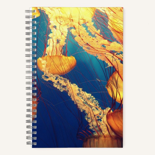 5,5" x 8,5" Spiralnotizbuch Notizbuch (Vorderseite)