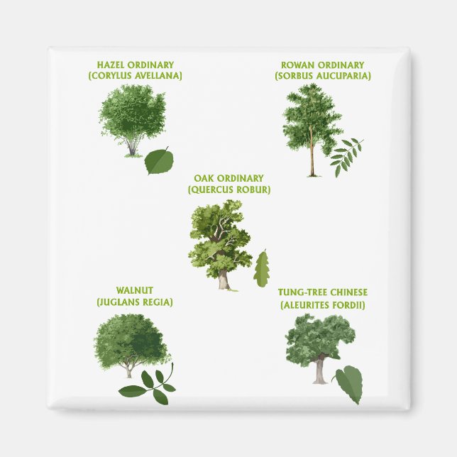 5 Bäume Magnet (Vorne)