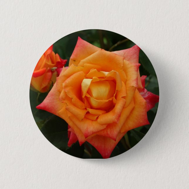 5 Cm Orange Rose  photo Badge rond (Devant)
