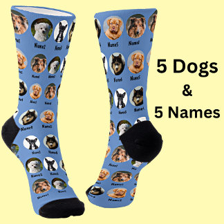 5 Dogs, 5 Names, Dog Photo - Personalized Blue Socken
