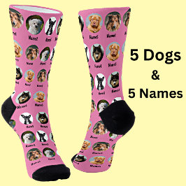 5 Dogs, 5 Names, Dog Photo - Personalized Pink Socken