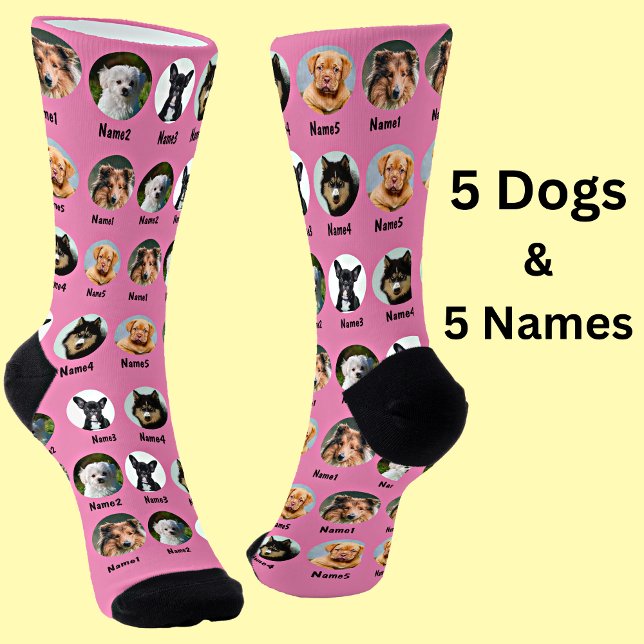 5 Dogs, 5 Names, Dog Photo - Personalized Pink Socken (Von Creator hochgeladen)