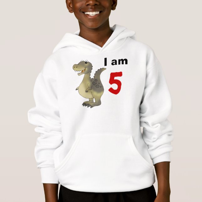 5. Geburtstagsdinosaurier-Geschenkidee Hoodie (Vorderseite)