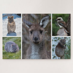 5-in-1 Tiere aus Australien, 1014 Stück