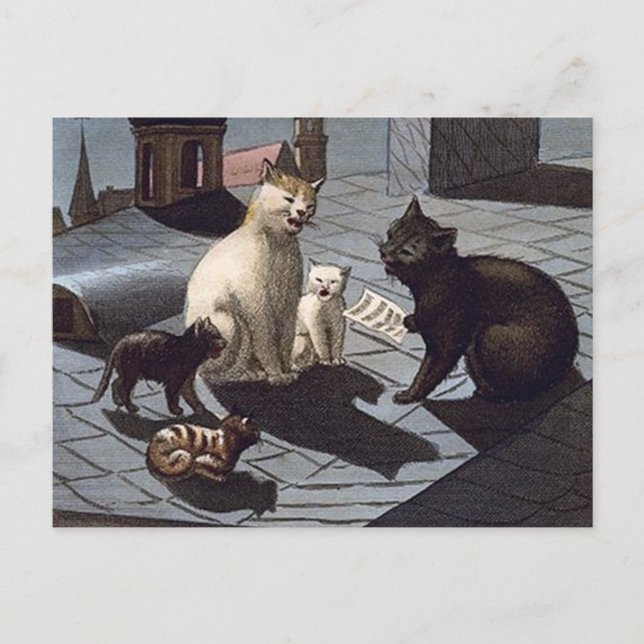5 Katzen mit nachts auf einem Dach sängerischer Mu Postkarte (Vorderseite)