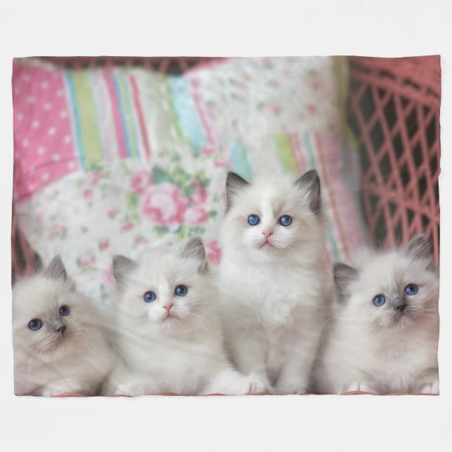 5 KITTEN FLEECEDECKE (Vorderseite (Horizontal))