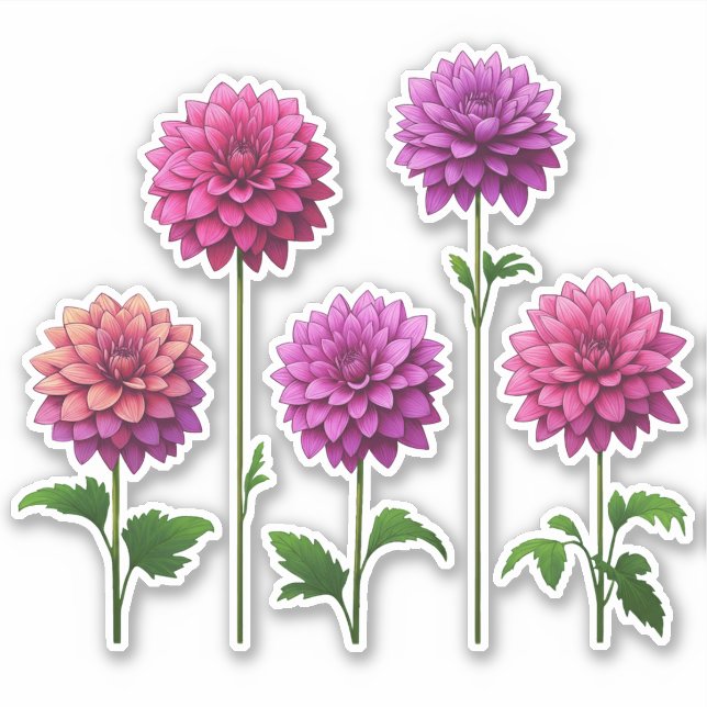 5 Pink - Purpur Dahlie (hell) Aufkleber (Vorderseite)