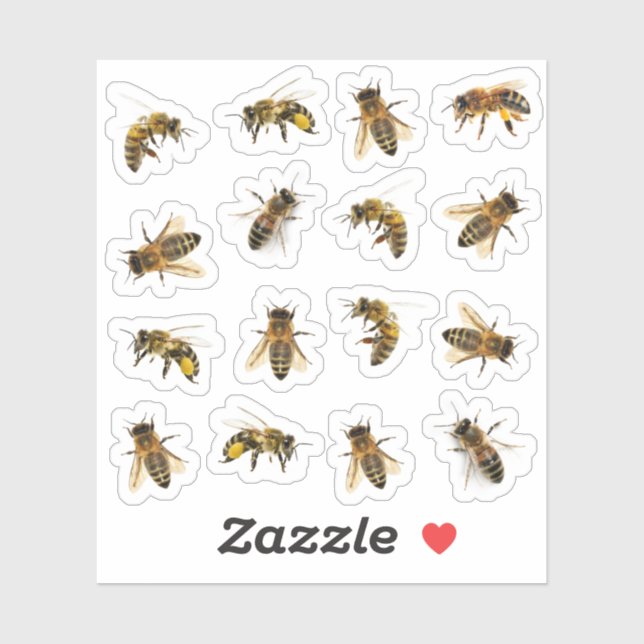 5 realistische Honigbienen auf 16 Vinyl Stickers Aufkleber (Blatt)