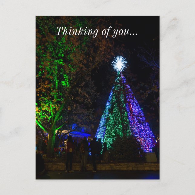 5 Story SDC Tree Night Postkarte (Vorderseite)