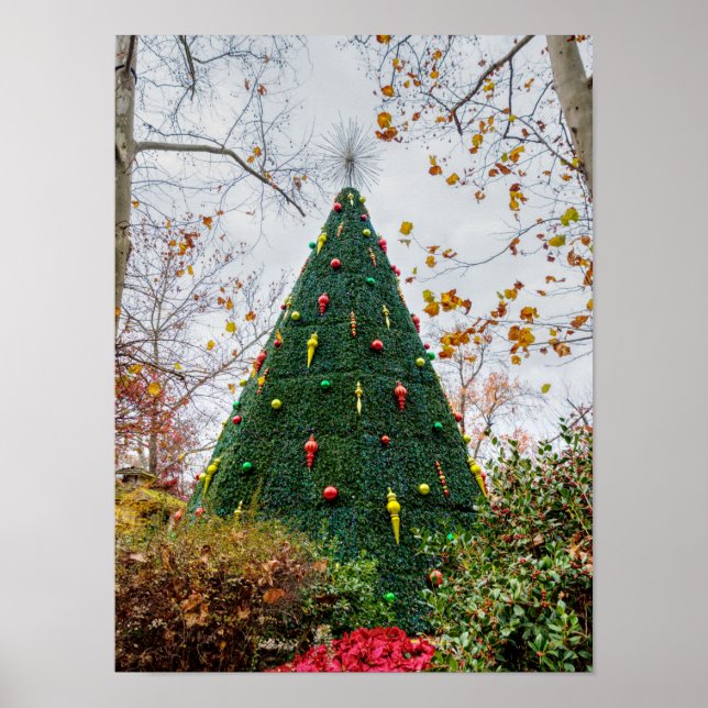 5 Story SDC Tree Poster (Vorne)